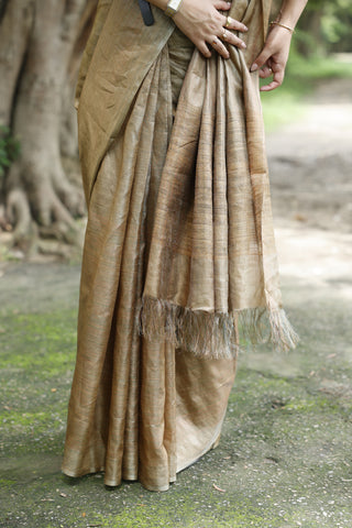 Kosakari Mridula | Beige Pure Kosa Tussar Silk Saree from Chhattisgarh